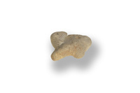 F 21692
<br/>
<br/>
<em></em>